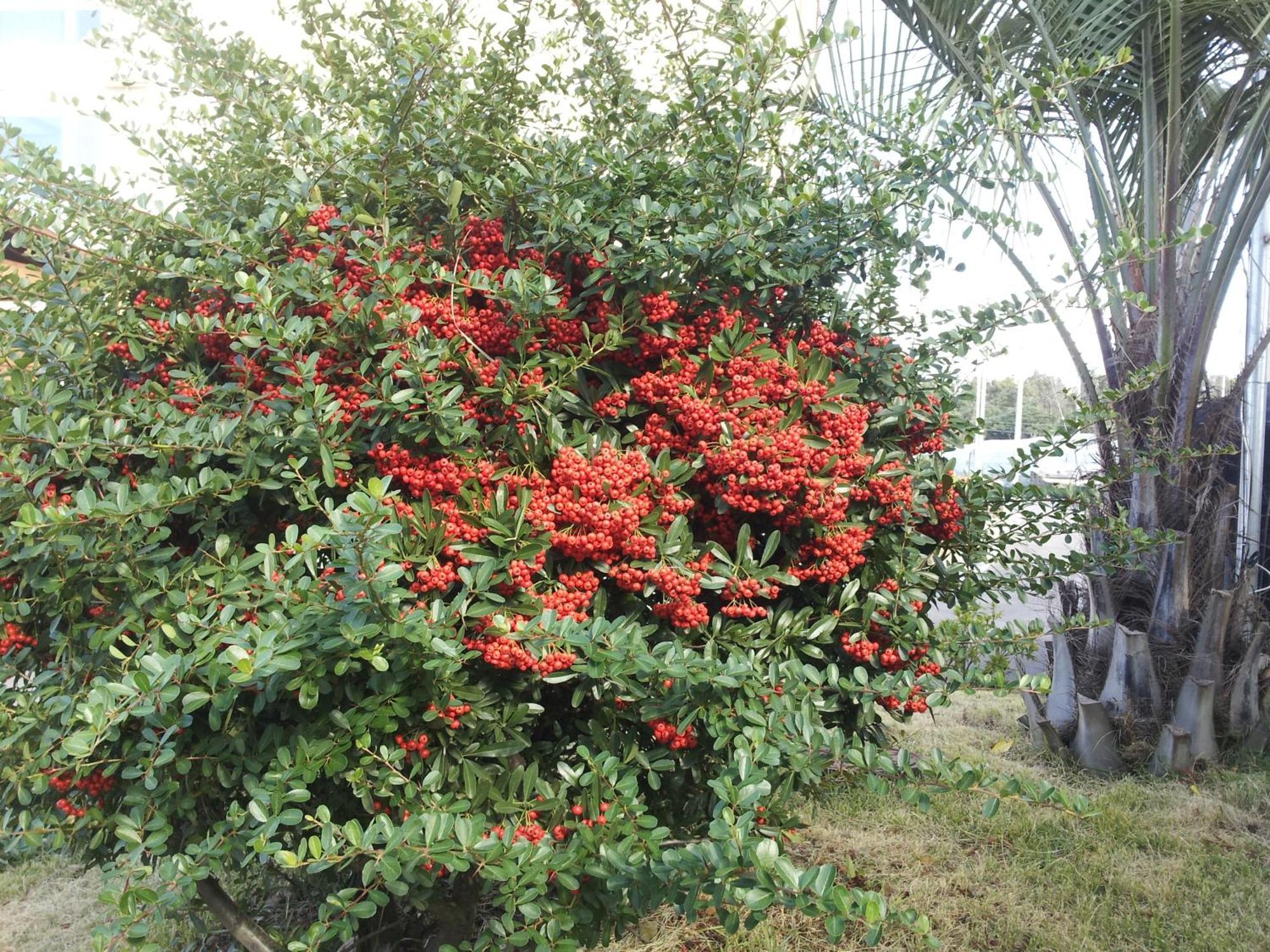 Jeju Bada Wi Olle Pension Seogwipo Exterior foto